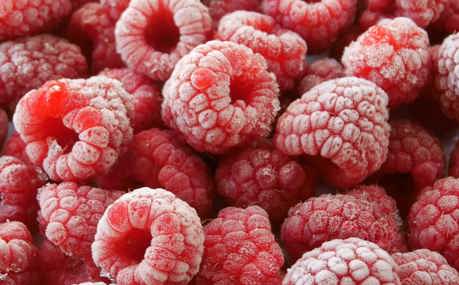 Raspberries Iqf Freezing