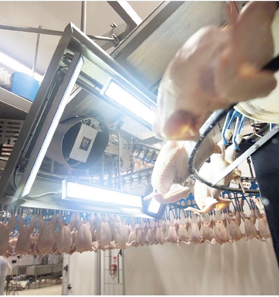 Iris Ev Vision Grading System