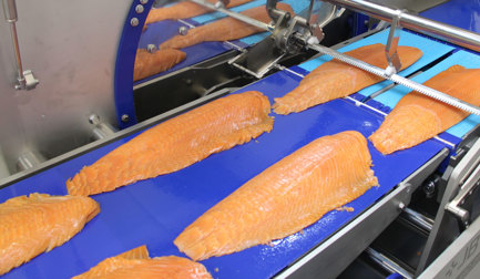 Automated excellence in salmon slicing just got faster