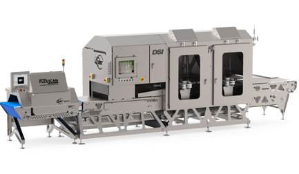DSI X-ray Guided Waterjet Portioning System