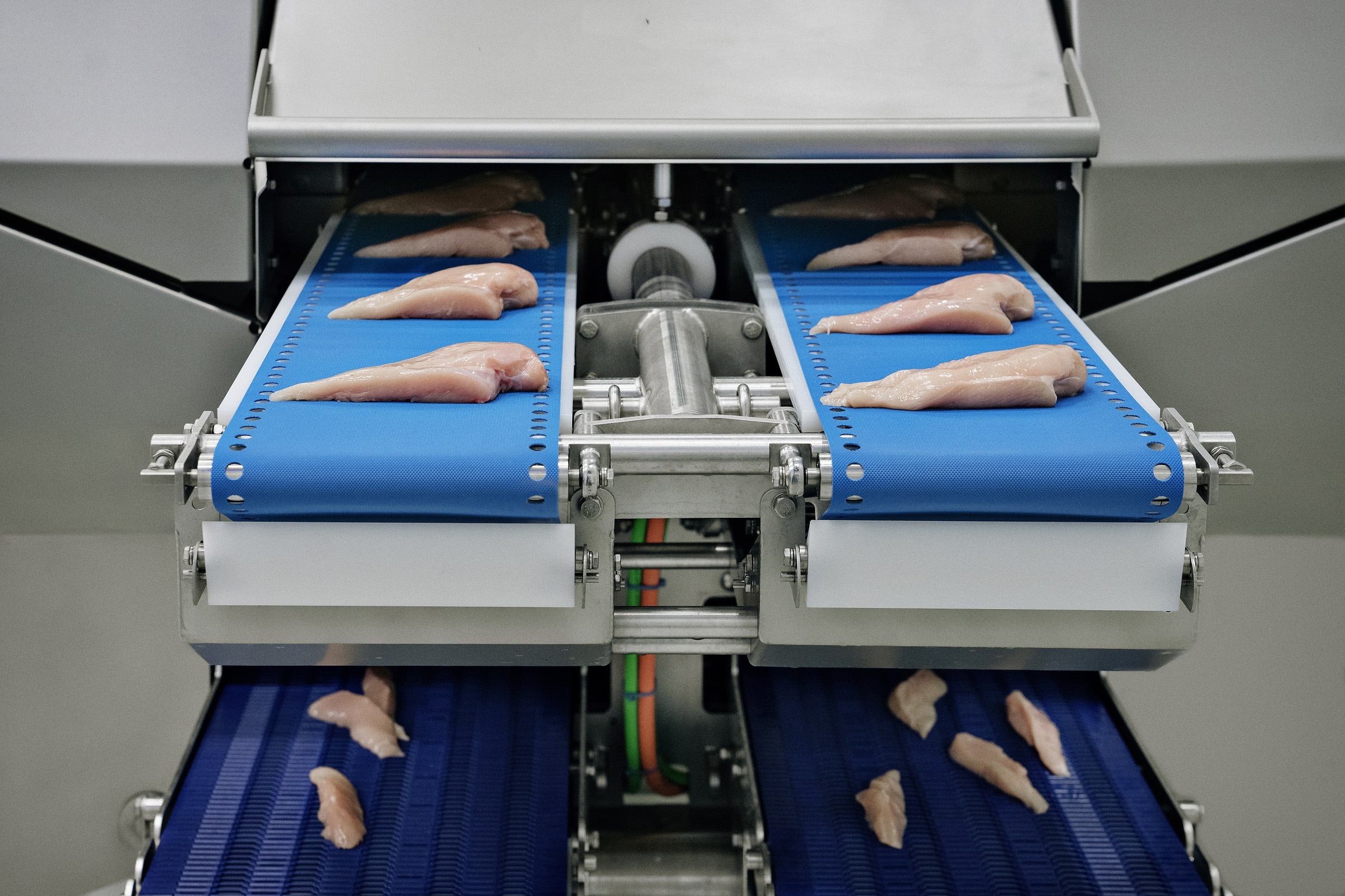 I-Cut 122 TrimSort portion cutter outfeed