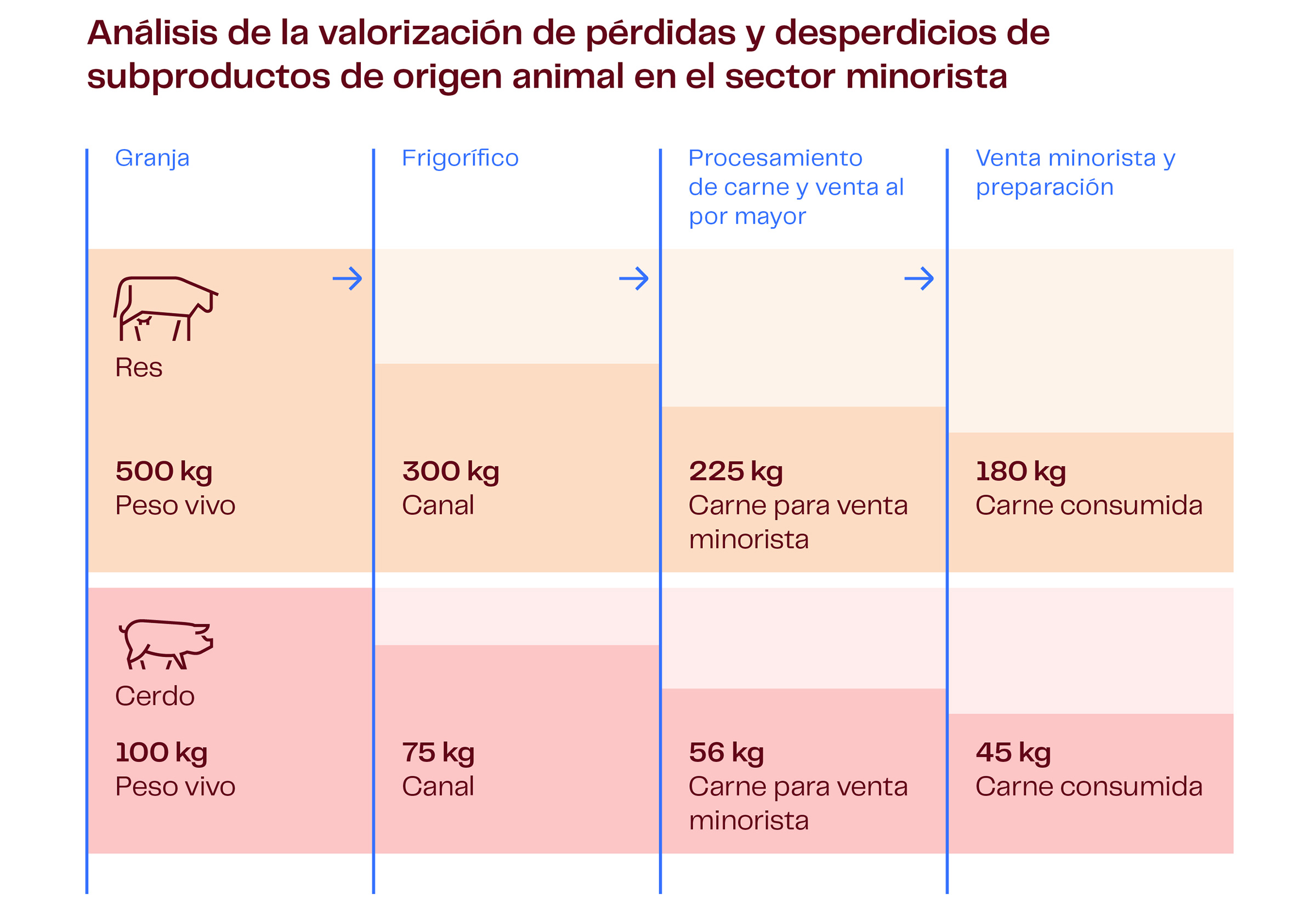 Infographs Meat Analysis Of The Food Loss ES