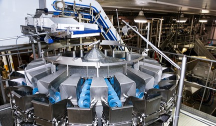 Multihead Weigher Auger Feed (fresh)