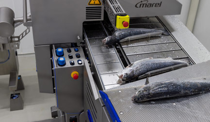 Модуль Удаления Голов Лосося MS 3028