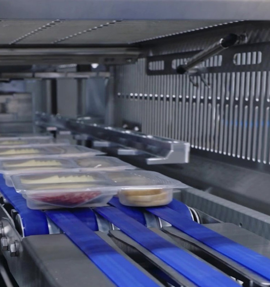 Tray Sealing Snacks And Appetizers