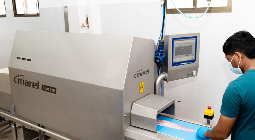 Salva Mar I Cut 130 Infeed