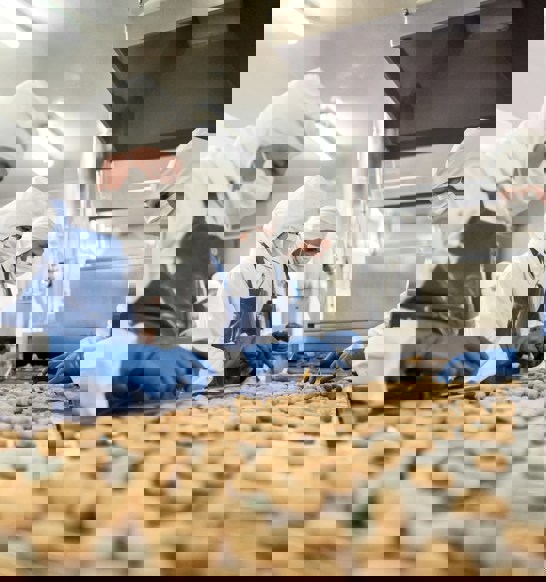 About Us JBT Marel Customer Photo 5