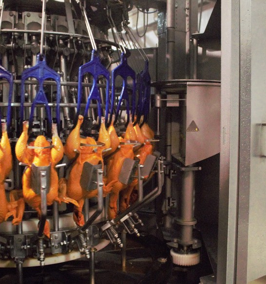 VO Cross Cut Yellow Birds