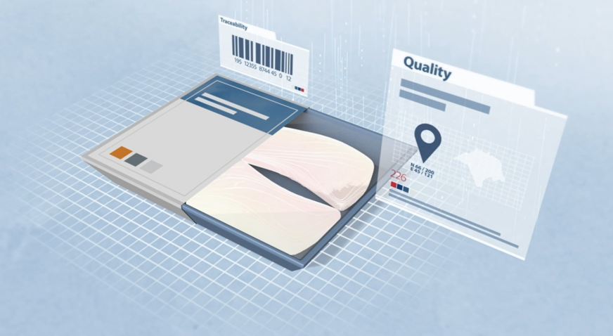 Axin Software Ai Visual 3