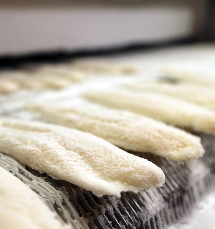 Whitefish Impingement Freezing Belt