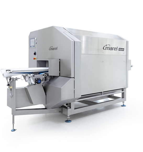 I-Cut 56 portion cutter