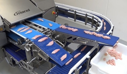 Линия нарезки кубиков