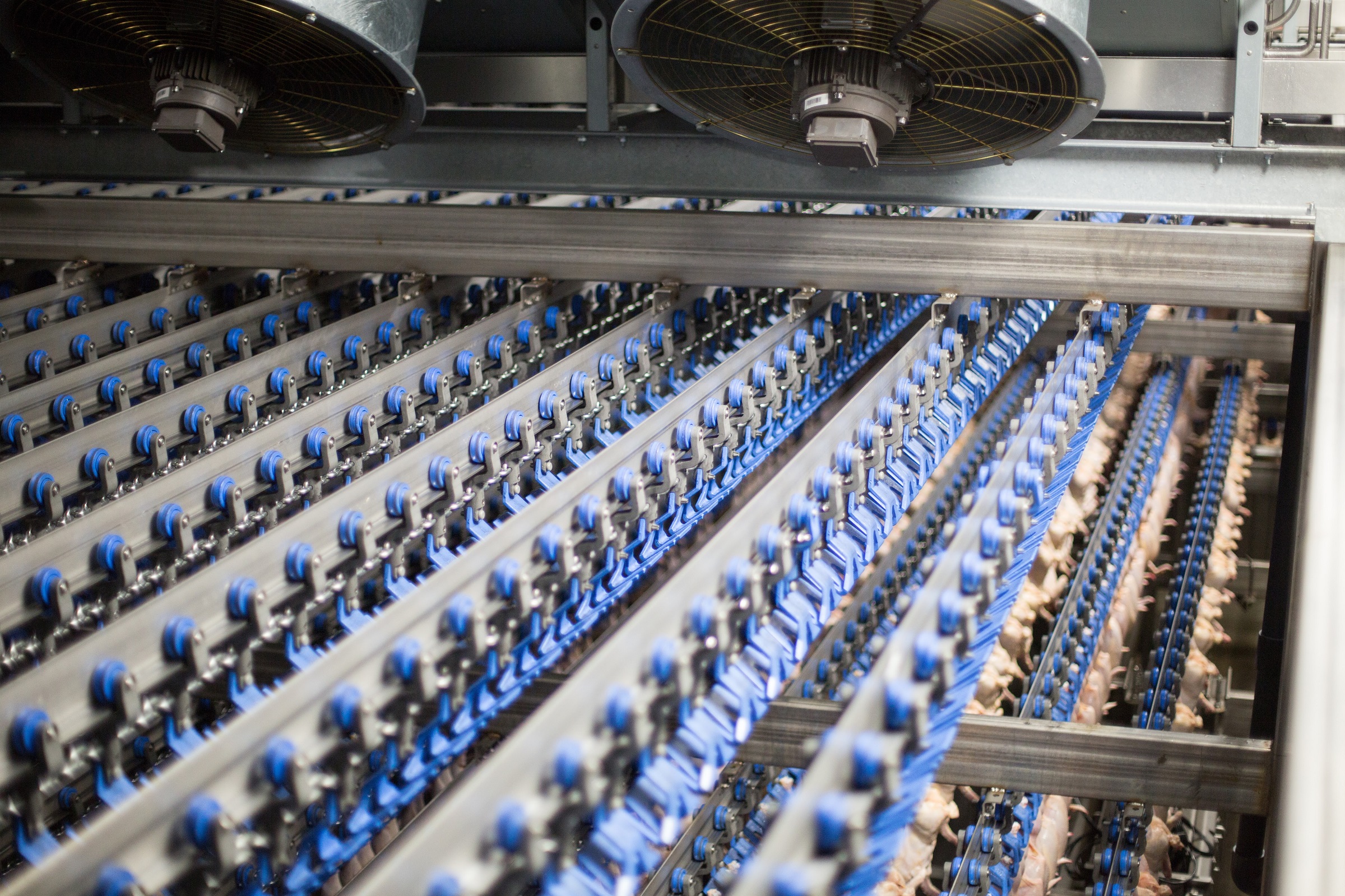 air chilling poultry processing fans