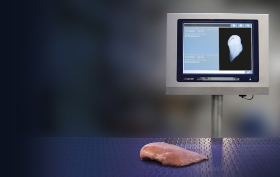 Sensorx Screen With Fillet On Belt