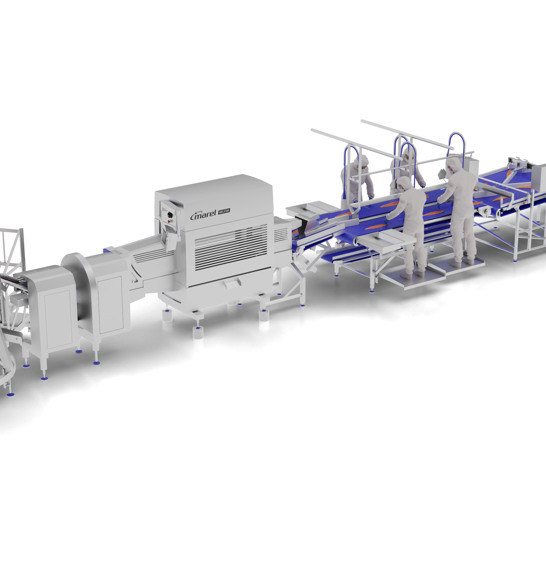 Salmon Filleting Line With Tailcutter HR