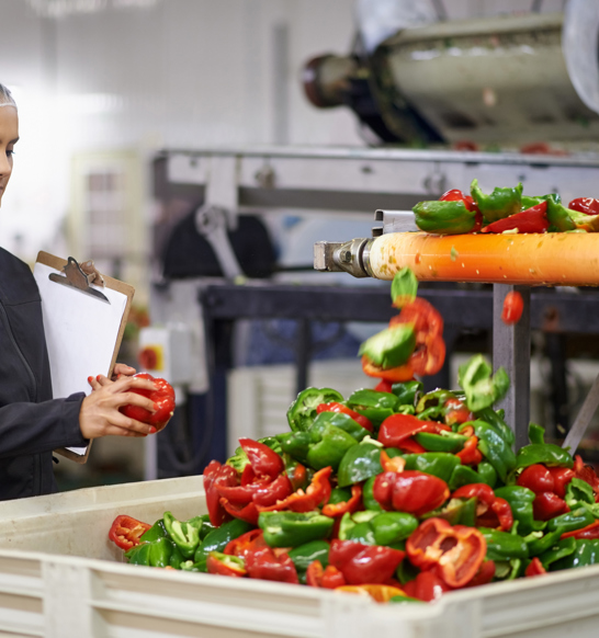 Fresh F&V Preparation