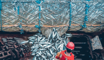 Sua empresa está preparada para o tsunami de rastreabilidade da FSMA 204 (Lei de Modernização da Segurança Alimentar dos EUA)?