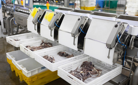 Peru Frost Smartline 2