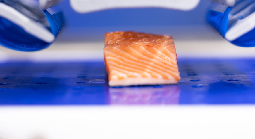 Robo Packer Salmon 1