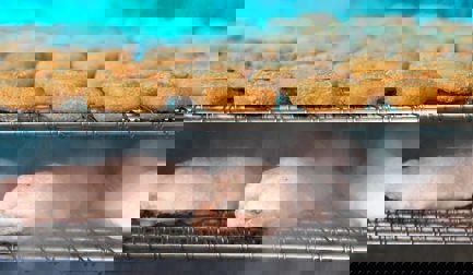 Reduce your frost-related downtime with JBT Marel's freezer innovations