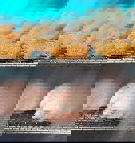 JBT-Frigoscandia-GYRoCOMPACT-Spiral-Freezer-from-JBT_0653-e1683267907255