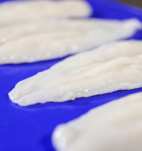 Frozen Fish Fillets