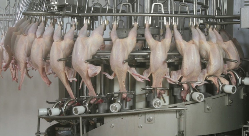 Neck cracker N-20 RS poultry