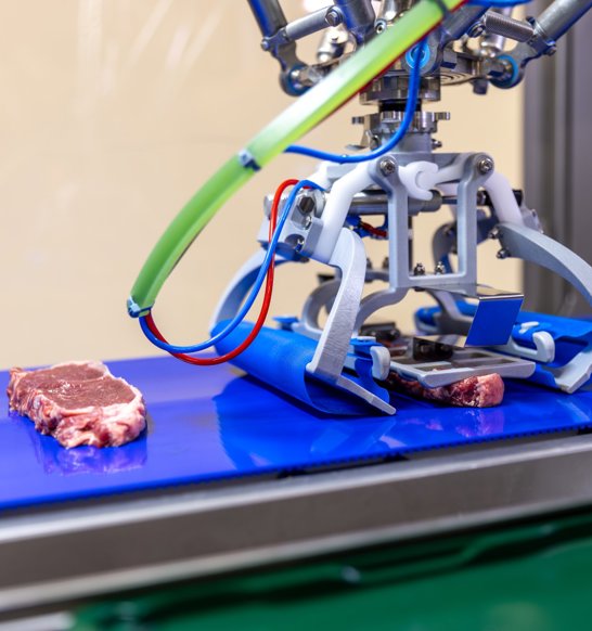 Robopacker Meatproducts6