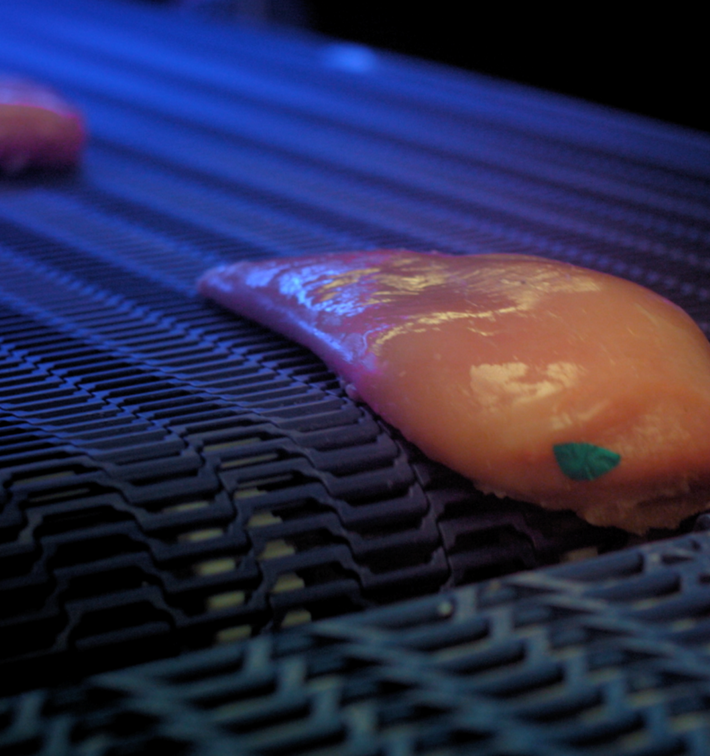 Marel's innovate food inspection equipment helps food processors to overcome contamination challenges