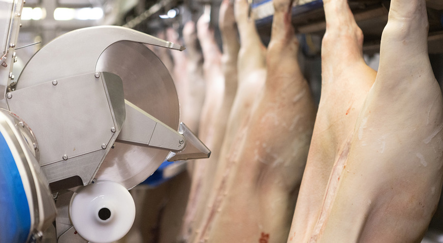 SBAG Pork Processing Pre Cutter And Belly Opener MPB Edited