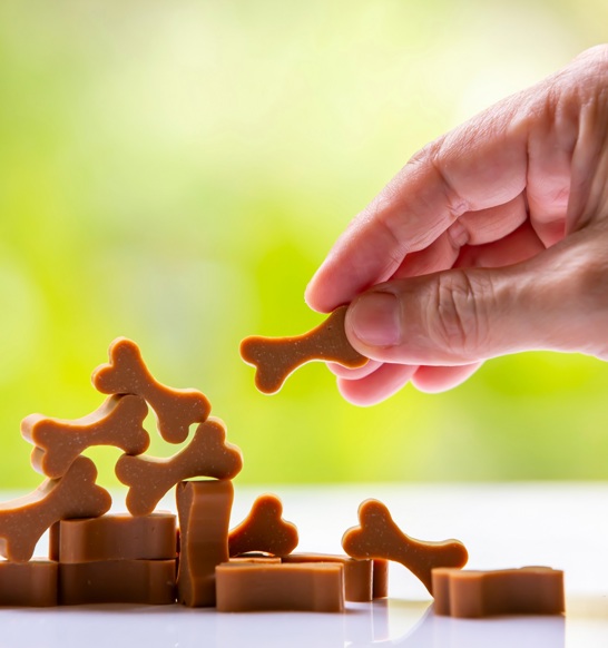 Formed Pet Treats, pet snacks And Chews