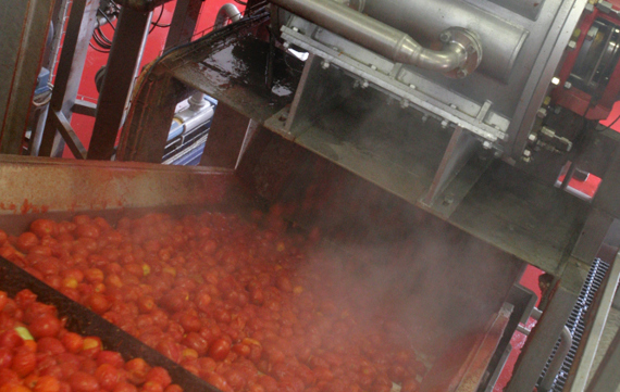 JBT-Saturno-Peeler-767x421-C