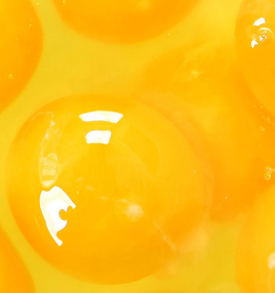 JBT-Sterideal-Ohmic-Heat-Exchanger-for-Liquid-Eggs_close-up_shutterstock-e1641491052130