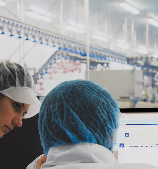 Product Control Screen In Processing Plant