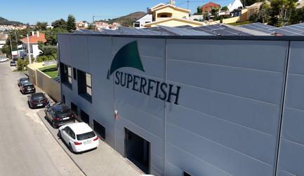 Sustainable growth, happy employees, and a future-ready partnership