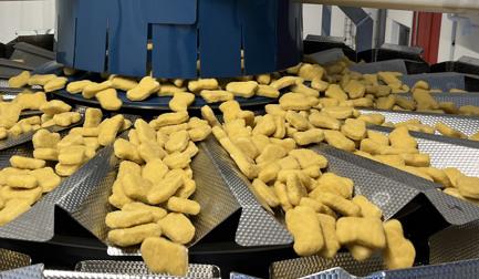 Multihead Weigher Medium IQF