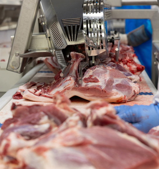 Blade Bone Remover In Operatiom 1