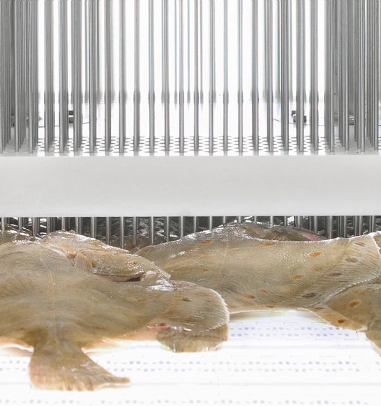 Image Sub Process Injection Other Seafood