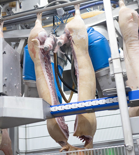 Frimesa M Line Robots