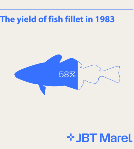 Fish Fillet Yield Over Time