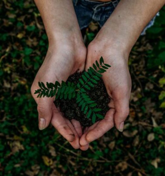 noah-buscher-x8ZStukS2PM-unsplash-scaled-e1682599910733