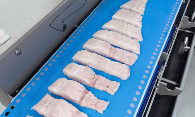 Cortadora de porciones