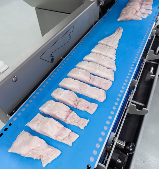 I Cut Hake Portion Cutting