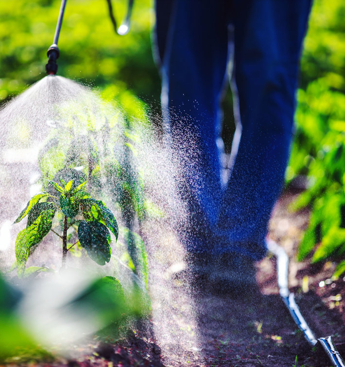 Chemical contamination in food processing can have devastating consequences