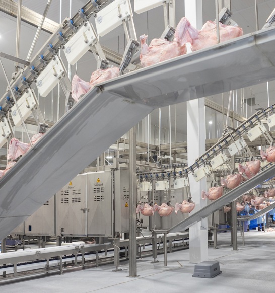 Deboning Turkey Prestage