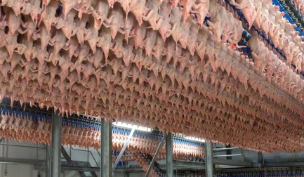 Для чего нужно дозревание?