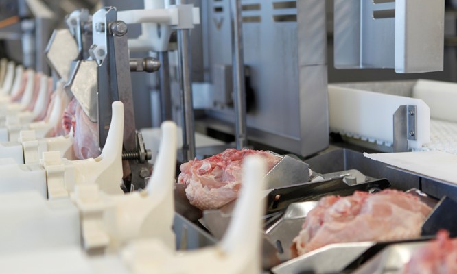 Fileteado inteligente de pechuga – AMF-i