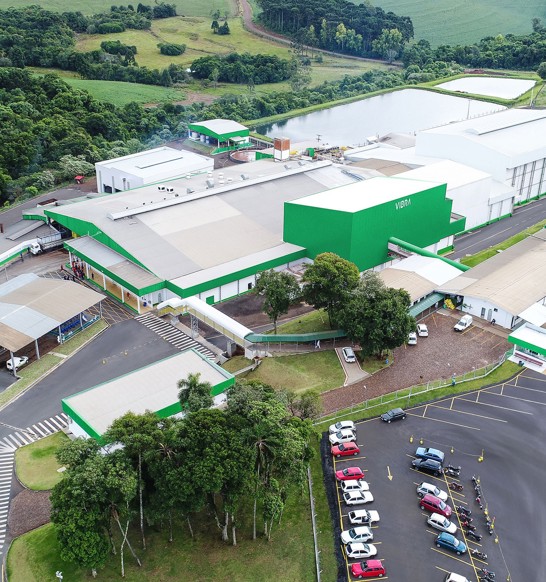 Vibra Group Brasil Pato Branco