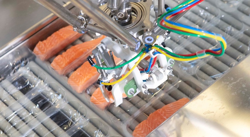 Robobatcher Thermoformer Saddlebags