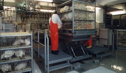 供应系统最高达 500tph